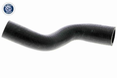 Шланг радиатора VAICO V202890