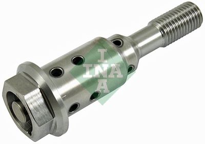 Центральный клапан, шестерня привода распределительного вала Schaeffler INA 427 0038 10