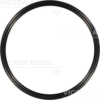 Blīvgredzens VICTOR REINZ 40-76131-00