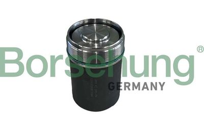 Remonta kompl., mehatronika (autom. pārnesumkārba) Borsehung B10924