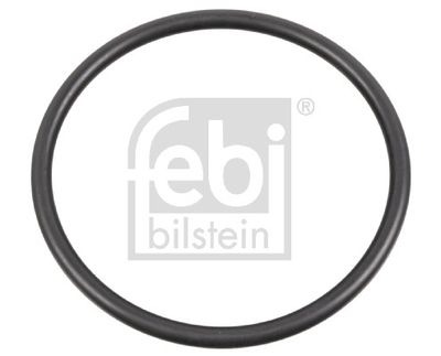 Blīvgredzens, Riteņa rumba FEBI BILSTEIN 179285