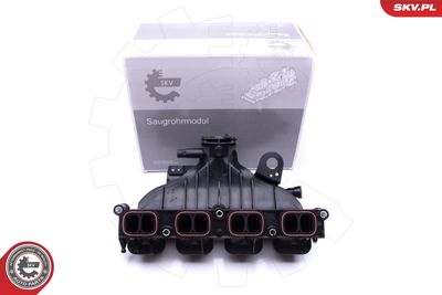 Модуль впускной трубы ESEN SKV 49SKV001