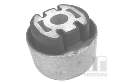 Piekare, Šķērssvira TEDGUM 00214945