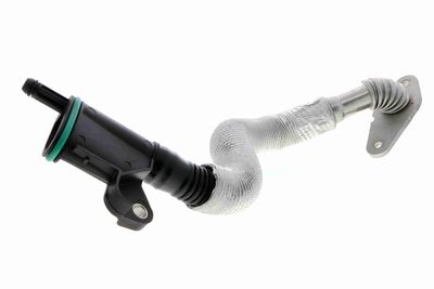 Шланг, вентиляция картера VAICO V10-4852