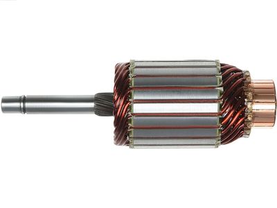 AS-PL SA3011 Enkurs, Starteris