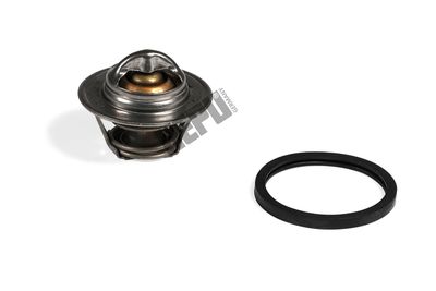 Термостат, охлаждающая жидкость HEPU TM1001