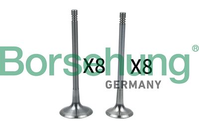 Впускной клапан BORSEHUNG B18634