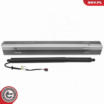 Электромотор, задняя дверь ESEN SKV 52SKV286