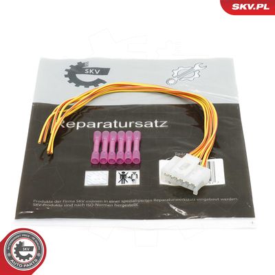 Vadu remkomplekts, Aizmugurējais lukturis ESEN SKV 53SKV131