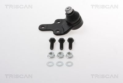 Balst-/Virzošais šarnīrs TRISCAN 8 500 165 033