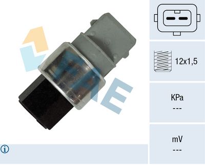 Пневматический выключатель, кондиционер FAE 15829