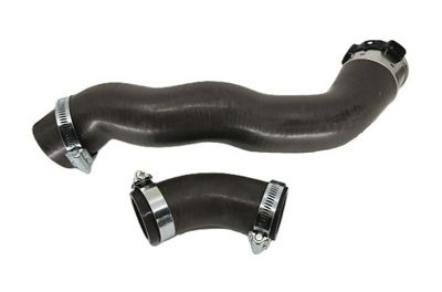 Pūtes sistēmas gaisa caurule BUGIAD 82566