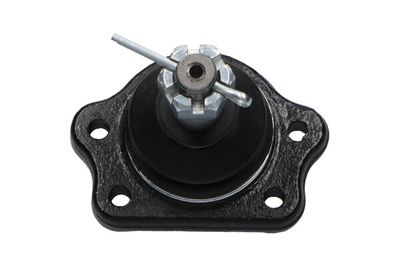 Balst-/Virzošais šarnīrs KAVO PARTS SBJ-6556