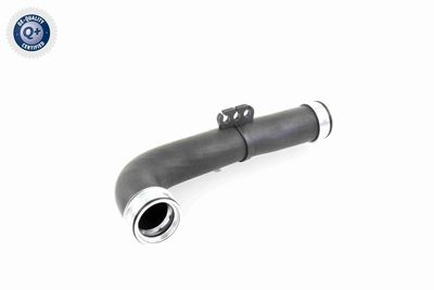 Pūtes sistēmas gaisa caurule VAICO V102860