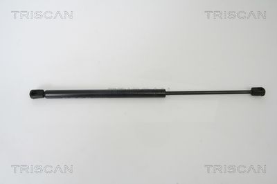 Gāzes atspere, Bagāžas/Kravas nodalījuma vāks TRISCAN 8710 29272