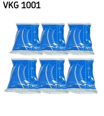 Smērviela SKF VKG 1001