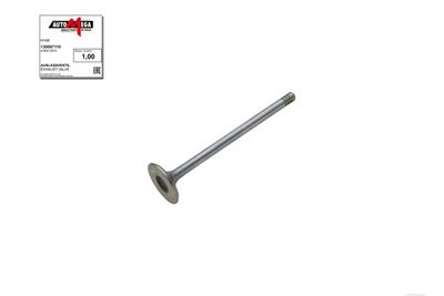 Выпускной клапан AUTOMEGA 130097110