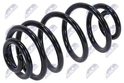 Пружина ходовой части NTY ASZ-PL-073