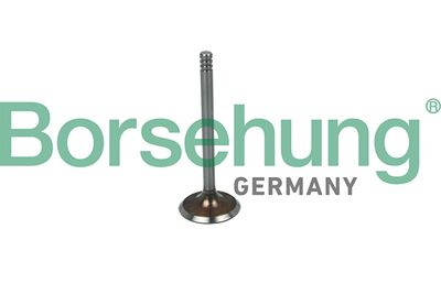 Впускной клапан BORSEHUNG B19030