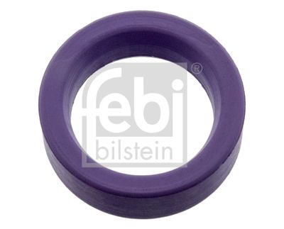 Blīve, Eļļas sūknis FEBI BILSTEIN 49464