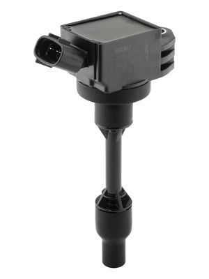 Aizdedzes spole BorgWarner (BERU) ZSE322