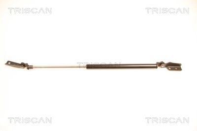 Gāzes atspere, Bagāžas/Kravas nodalījuma vāks TRISCAN 871014233