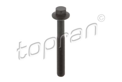 Болт, крепление форсунки TOPRAN 703 097