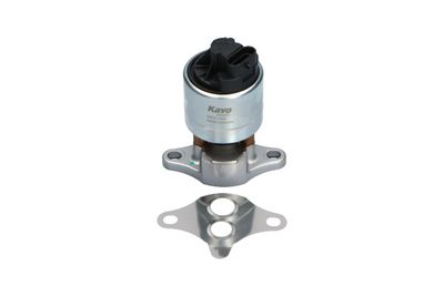 Клапан возврата ОГ KAVO PARTS EEG-1002