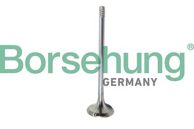 Выпускной клапан BORSEHUNG B10321