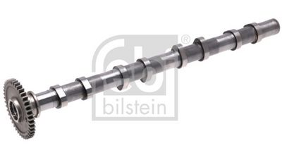 Sadales vārpsta FEBI BILSTEIN 1009197