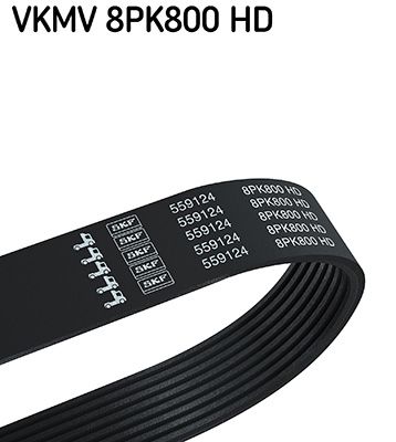Ķīļrievu siksna SKF VKMV 8PK800 HD