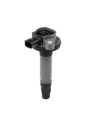 Aizdedzes spole BorgWarner (BERU) ZS601