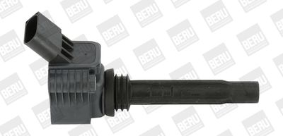 Катушка зажигания BorgWarner (BERU) ZSE067