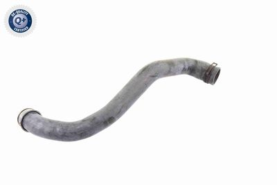 Шланг радиатора VAICO V30-1913