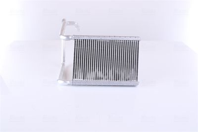 Siltummainis, Salona apsilde NISSENS 707078