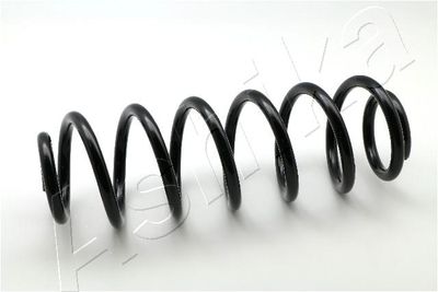 Пружина ходовой части ASHIKA ZCA6787H