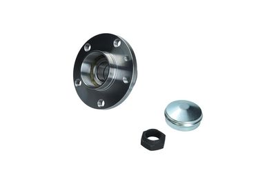 Комплект подшипника ступицы колеса KAMOKA 5500169