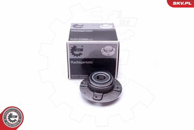 Комплект подшипника ступицы колеса ESEN SKV 29SKV348