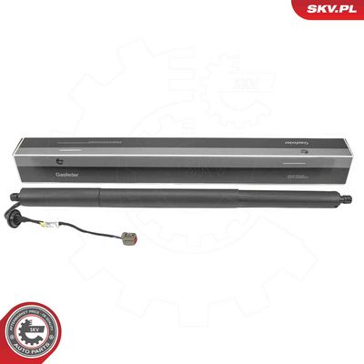 Электромотор, задняя дверь ESEN SKV 52SKV268