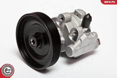 Hidrosūknis, Stūres iekārta ESEN SKV 10SKV068