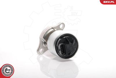 Клапан возврата ОГ ESEN SKV 14SKV035