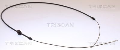 Trose, Stāvbremžu sistēma TRISCAN 8140 231156