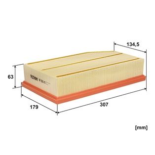 Gaisa filtrs FILTRON AP 093/8
