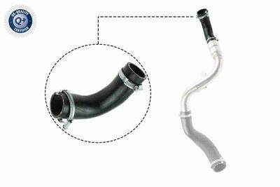 Трубка нагнетаемого воздуха VAICO V251023