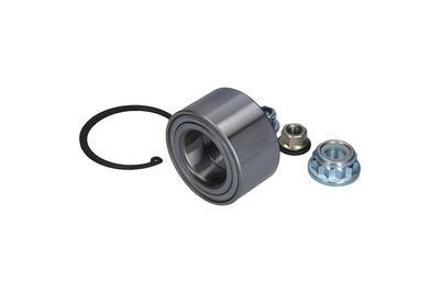 Комплект подшипника ступицы колеса KAMOKA 5600075
