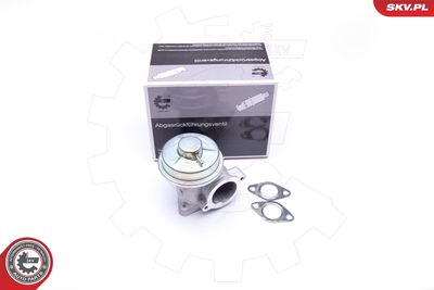 Клапан возврата ОГ ESEN SKV 14SKV092