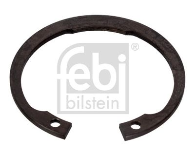 Sprostgredzens, Grozāmass tapa FEBI BILSTEIN 02668