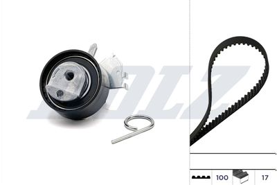 Комплект ремня ГРМ DOLZ SKD061