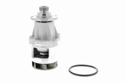 Ūdens sūknis, dzinēja dzesēšana VAICO V20-50013