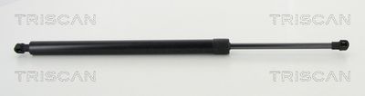 Gāzes atspere, Bagāžas/Kravas nodalījuma vāks TRISCAN 871 042 246